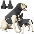 Gilet Anti-Anxiété pour Chien